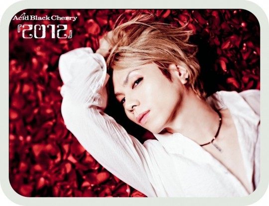 batch_yasu-acid-black-cherry-32328202-800-601