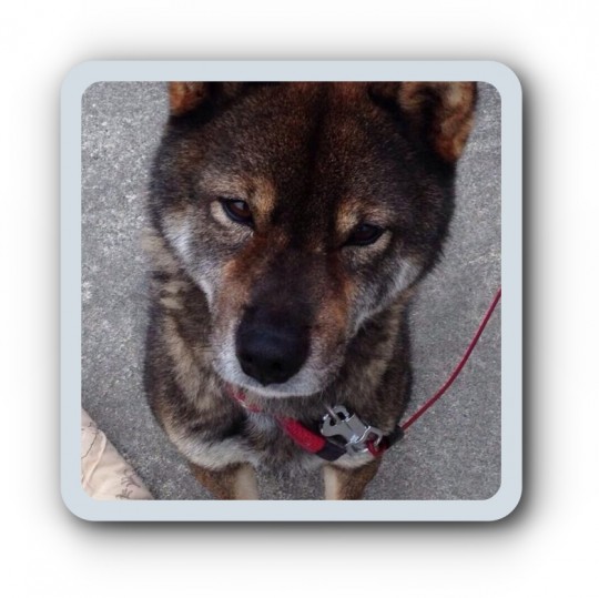 batch_スクリーンショット 2016-02-25 21.10.21