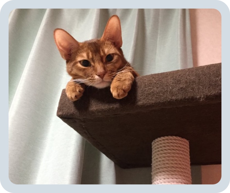 batch_スクリーンショット 2016-05-06 9.02.43