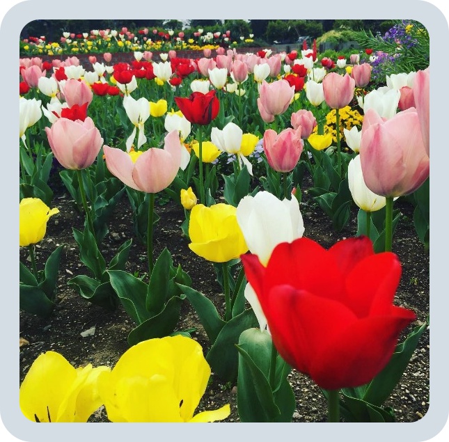 batch_スクリーンショット 2016-05-09 3.38.35