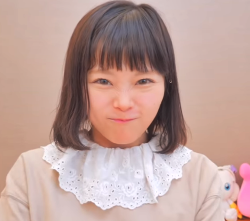 ひなちゃんねるの年収はどれくらい？