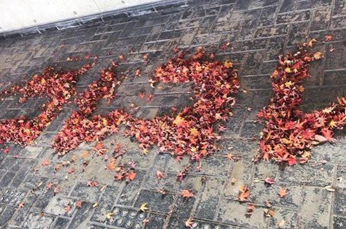 コレコレが嫌い！アンチがつく理由は？