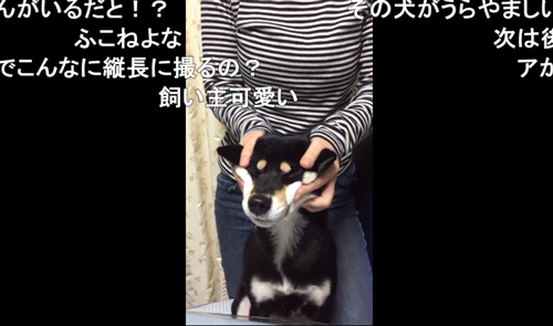 にゃんたこのニコニコ動画