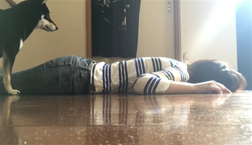 にゃんたこは小尻