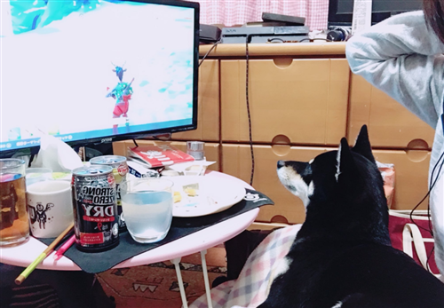 にゃんたこの彼氏いなさそうな部屋