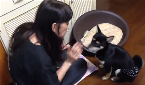 にゃんたこのお母さん